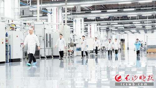 中國首臺800v高壓扁線膠粘定轉子產品 長沙造