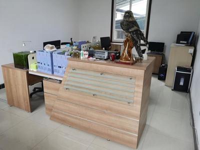 攜手共進，再譜新篇——熱烈祝賀九度與漢武機電簽署網站服務協議，深化針紡織品及原料銷售合作